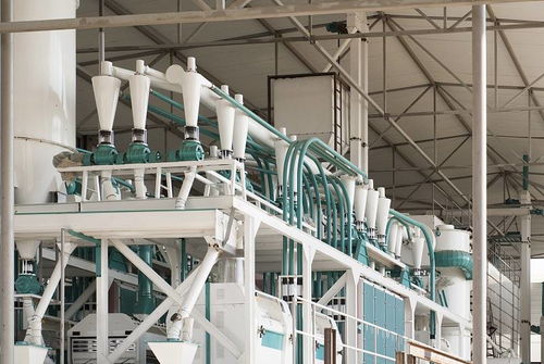 面粉機(jī)械制造廠家河南中瑞糧油機(jī)械詳述面粉加工工藝流程及設(shè)備