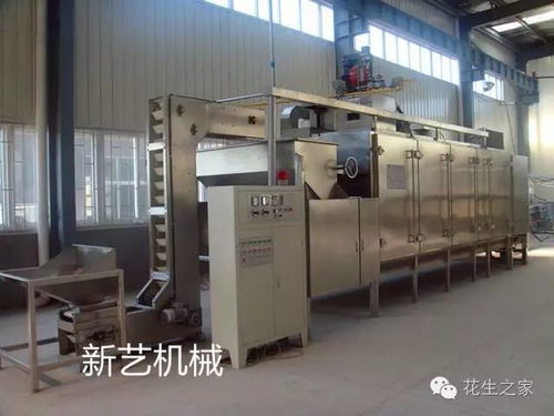 這里有你不知道的設備,新藝花生機械的產品世界系列二