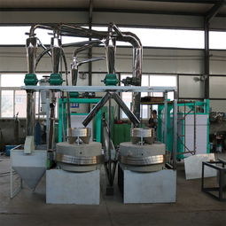 廠家直銷石磨磨面機組 石磨面粉機械設備 石磨面粉加工機質優價廉