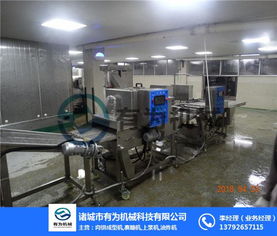 遼寧裹漿設備 有為食品機械公司 土豆條裹漿設備多少錢一臺