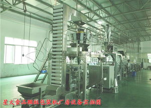 藍(lán)莓干食品包裝機(jī) 全自動(dòng)食品顆粒包裝機(jī)